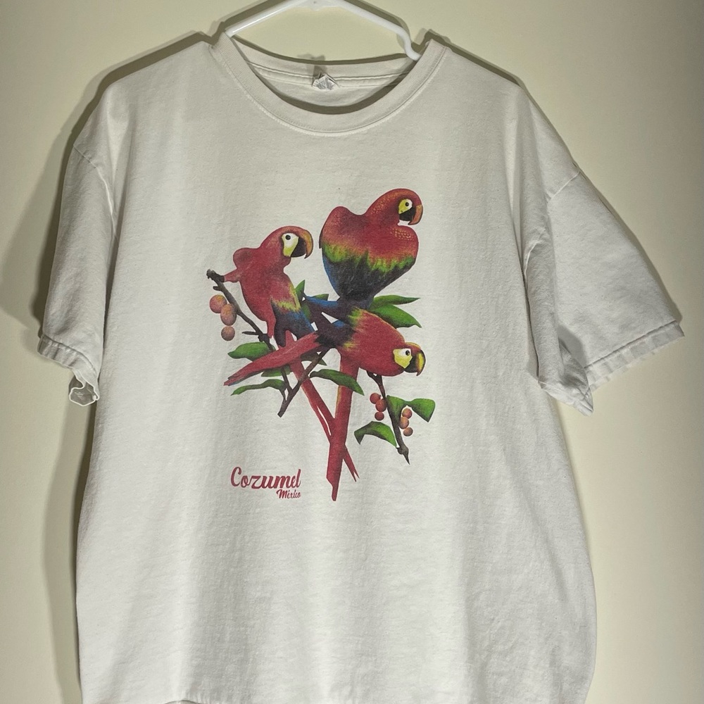 Vintage Cozumel Mexico Resort T Shirt
